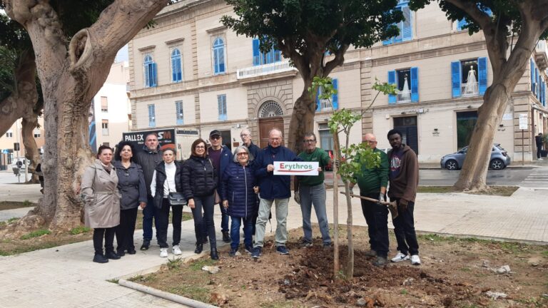 Giornata internazionale degli alberi, a Trapani l’Associazione Erythros mette a dimora tre nuove eritrine