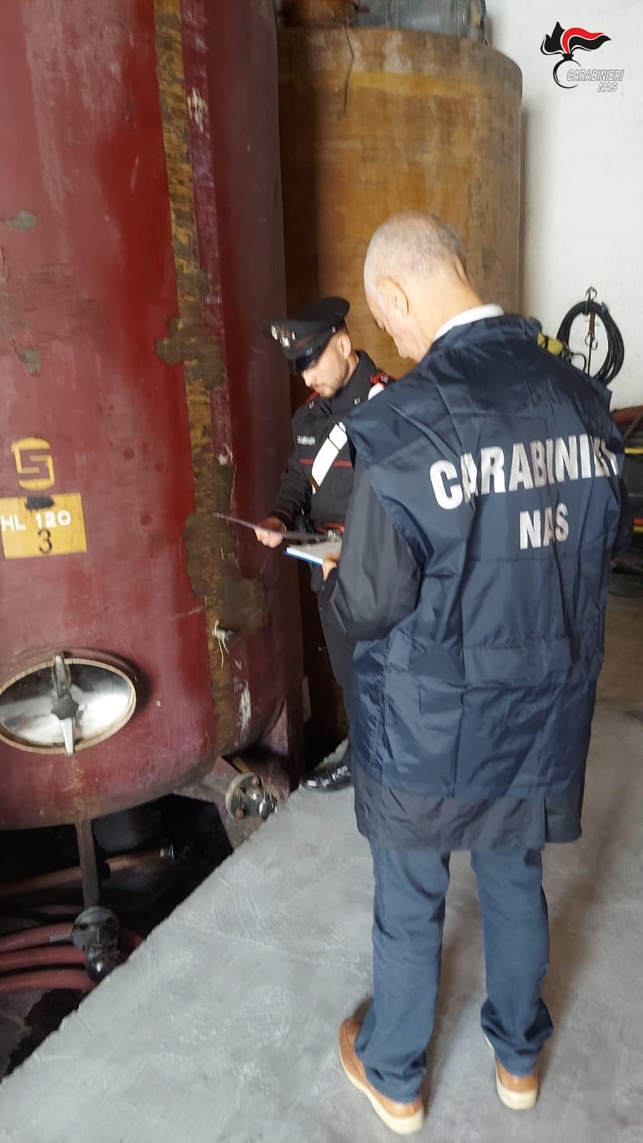 Nas di Palermo scoprono e sequestrano un’azienda vitivinicola abusiva a Campobello di Mazara