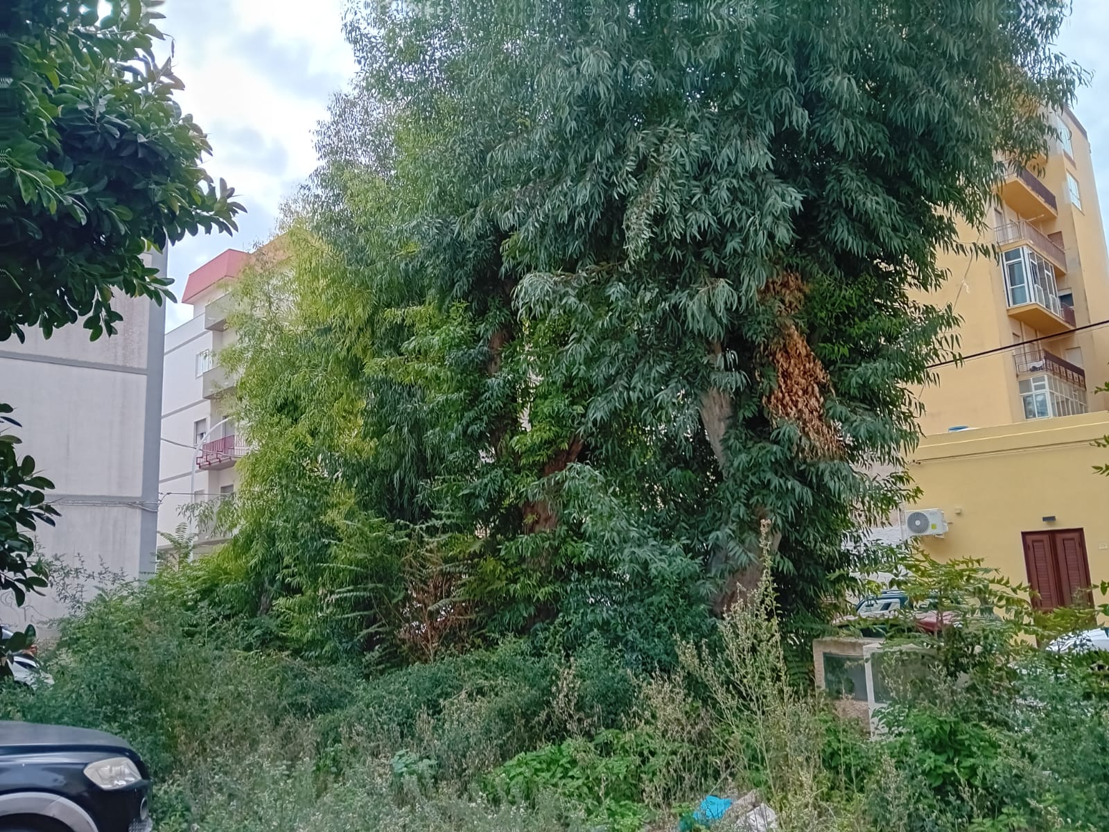 Marsala: gli abitanti di via Lilibeo vivono “nel degrado”