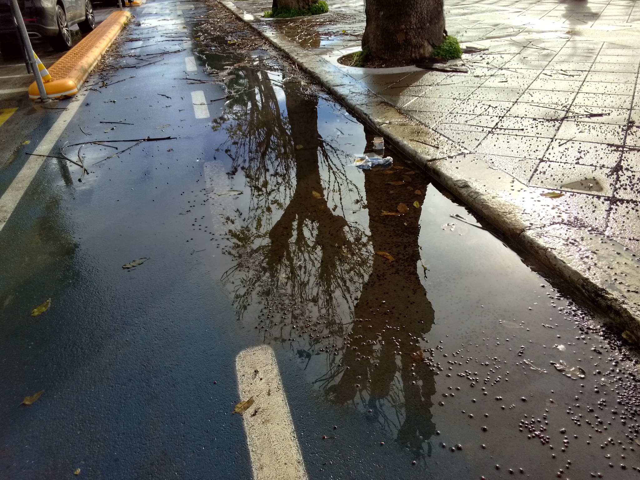 Le ciclabili trapanesi piscine durante la pioggia, esempio di incapacità e spreco di denaro