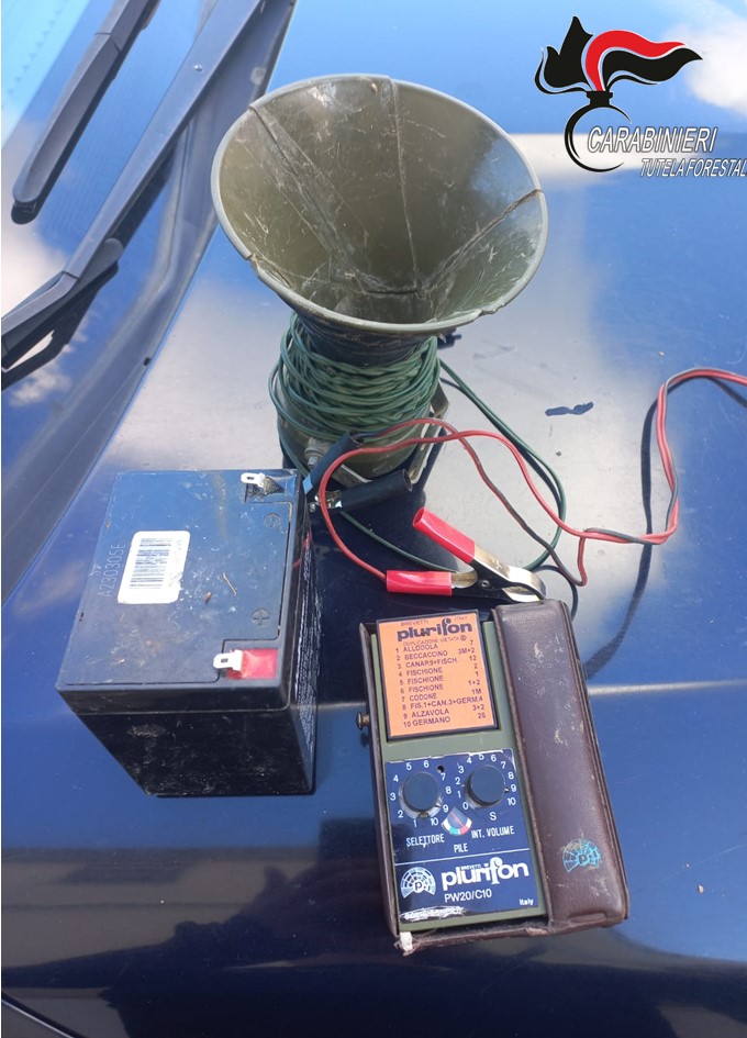 A Castelvetrano denunciati tre cacciatori: avevano posizionato richiami illegali per uccelli