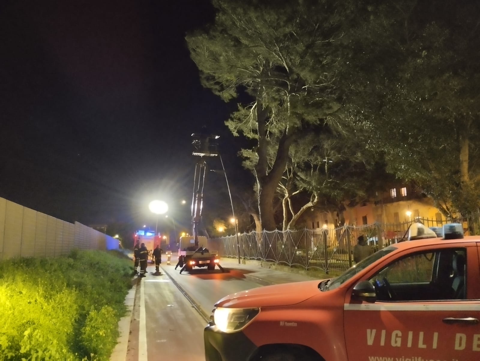 Marsala: ramo pericolante da Villa Cavallotti, intervengono i vigili del fuoco
