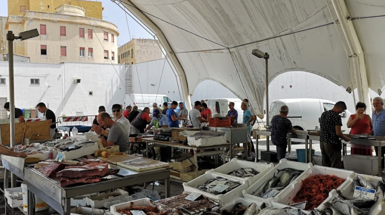 Il Comune di Trapani vuole affidare il Mercato Ittico ad imprenditori individuali o società