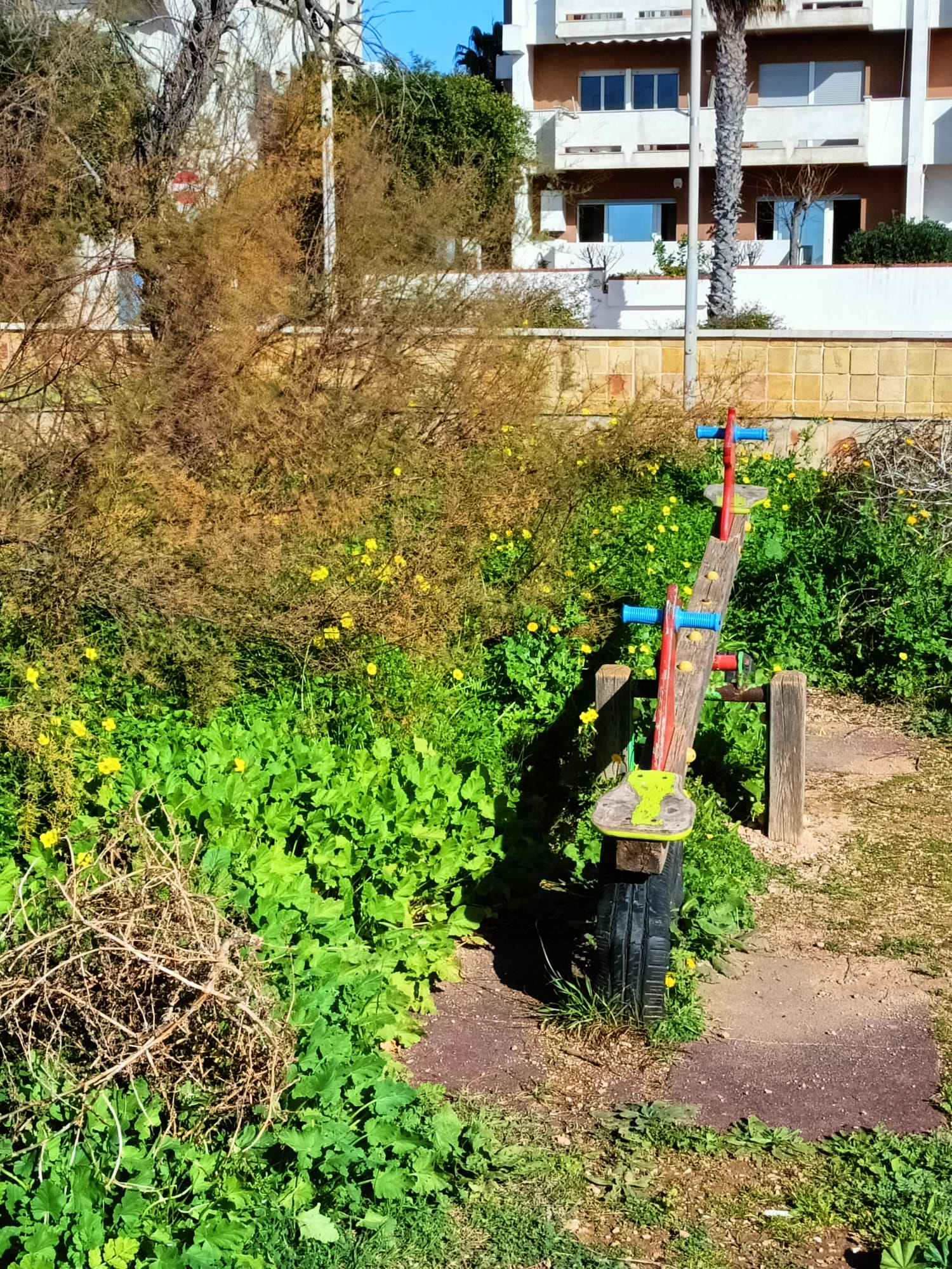 “Il Parco giochi del Lungomare di Marsala indecoroso, è pieno di erbacce”