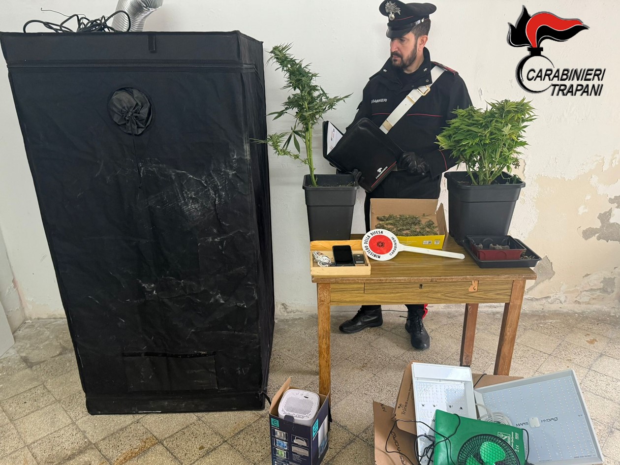 Coltivava in casa piante di marijuana, arrestato 37enne valdericino