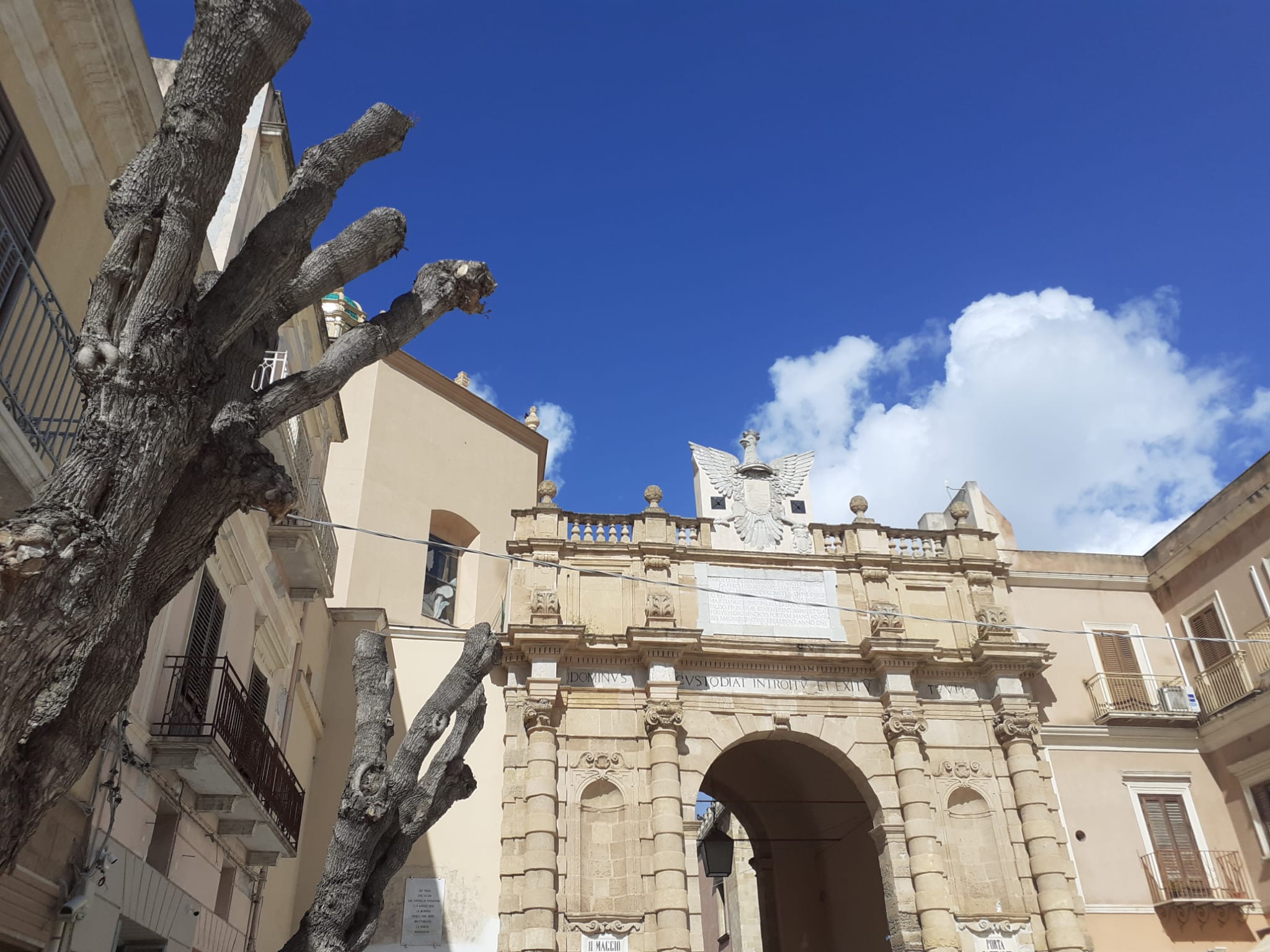 Potatura degli alberi a Marsala, l’amministrazione risponde a Europa Verde