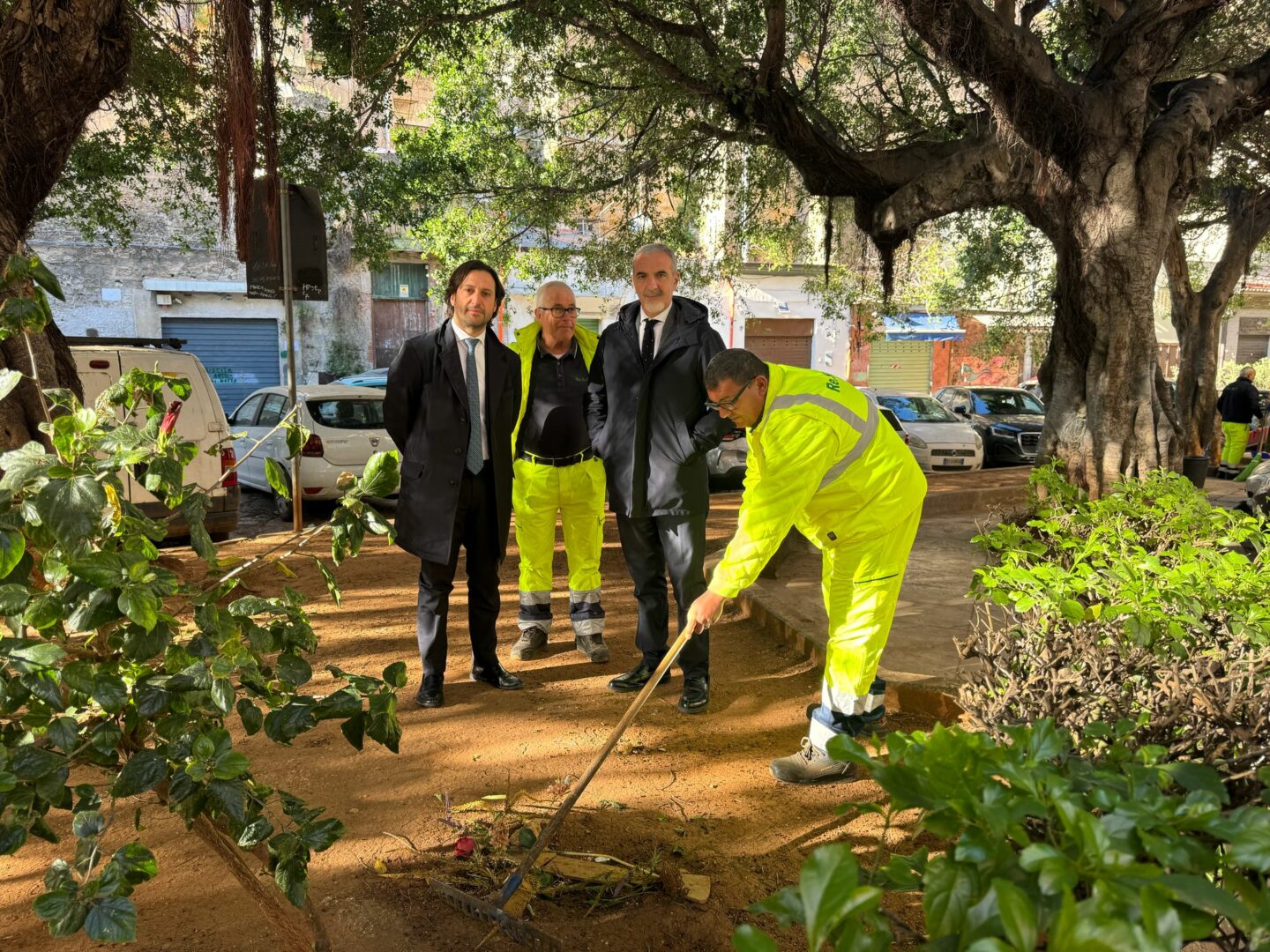 Rimossa carcassa animale a Palermo, Ferrandelli “Serve un cimitero”