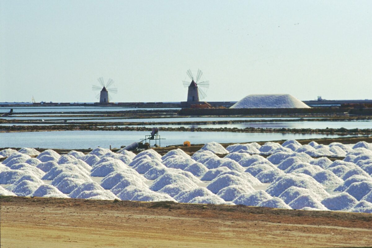 Il WWF apre a Trapani le celebrazioni per i 30 anni della Riserva Naturale Orientata delle “Saline di Trapani e Paceco”
