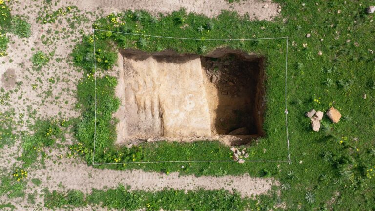 Al Parco archeologico di Selinunte nuove scoperte e veste grafica del sito
