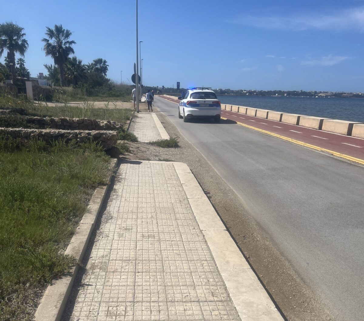 La Marsala Marathon, i randagi allo Stagnone che azzannano cagnolini e la carenza di soccorsi