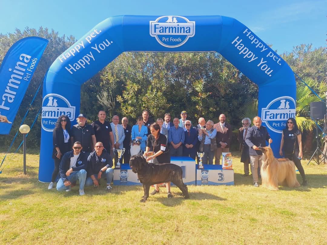 Grande successo a Petrosino per l’Esposizione Canina Internazionale e Nazionale: tutti i vincitori