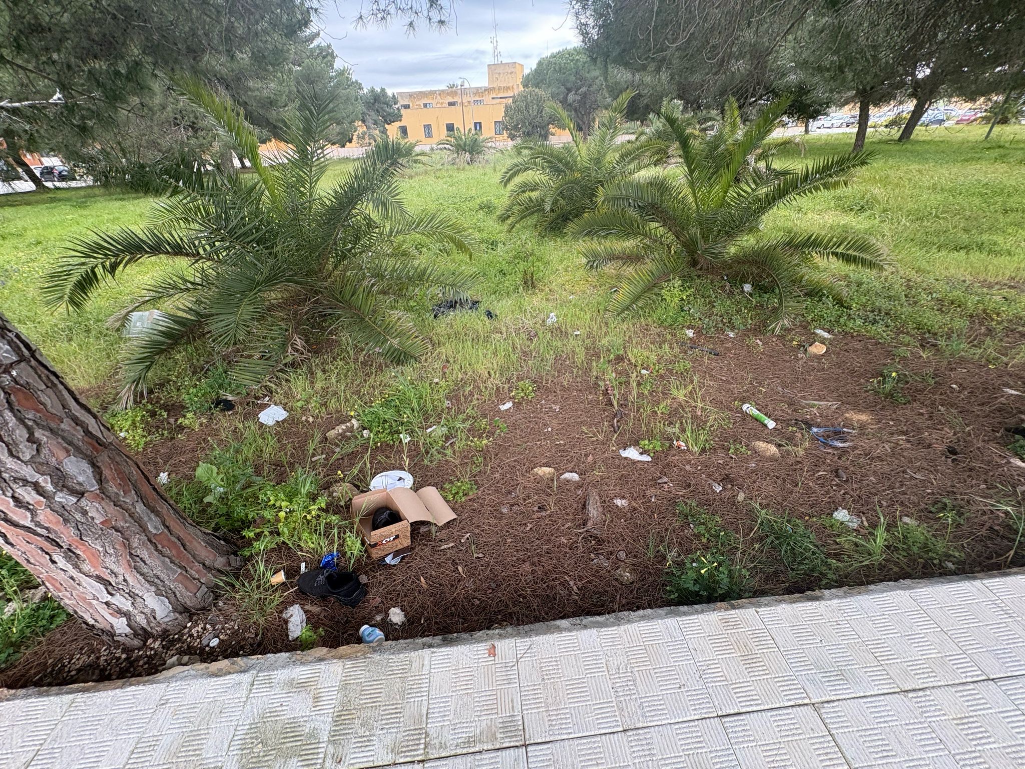 “La piazzetta del Comando di Polizia Municipale di Marsala in totale abbandono”￼