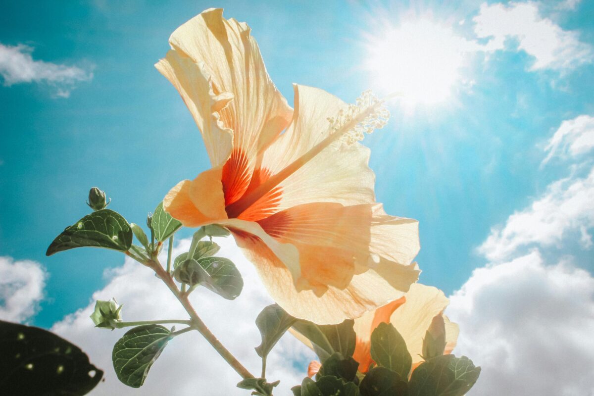 Le temperature ancora instabili, il 25 aprile previsto sole