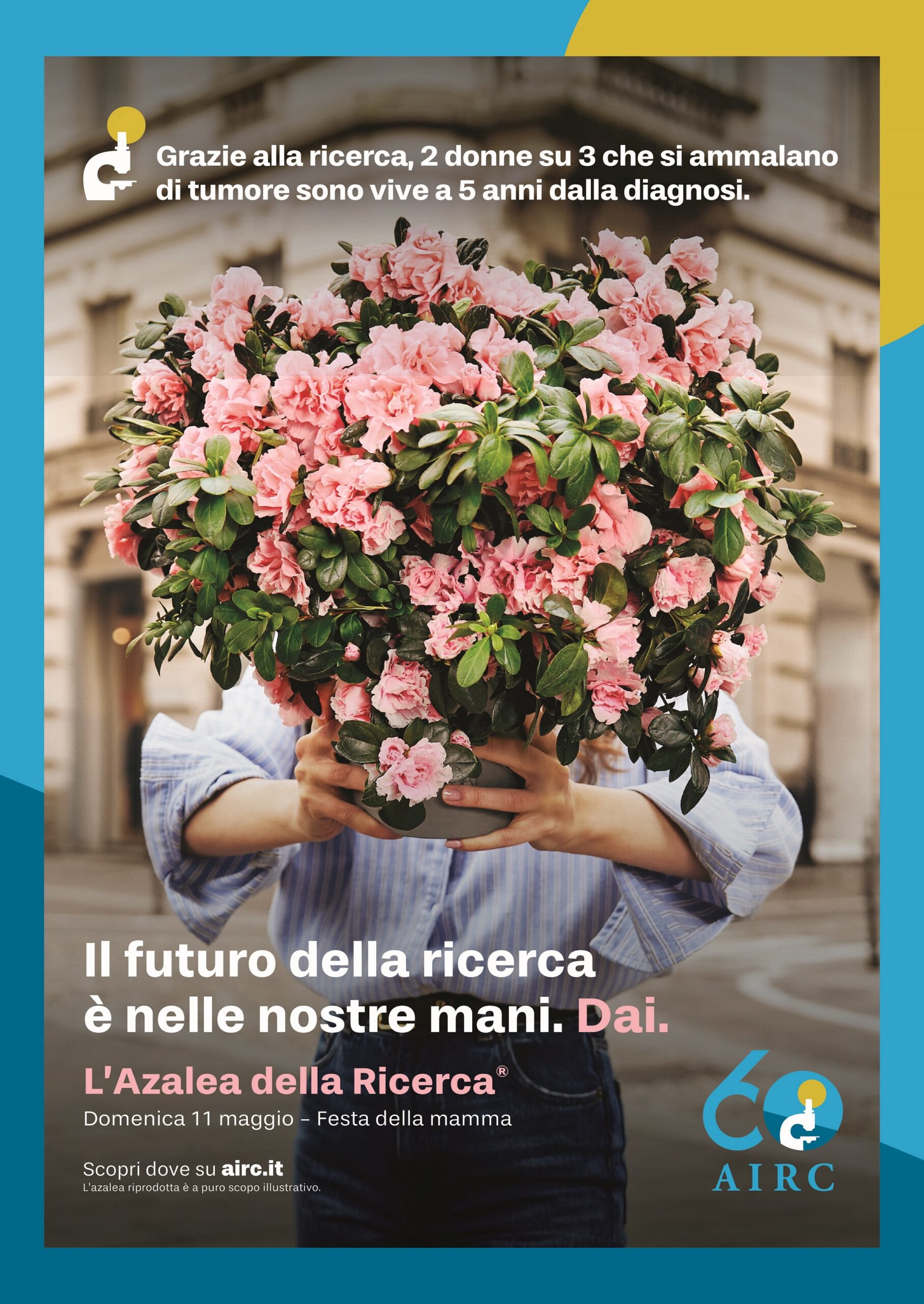 L’Azalea della Ricerca, volontari a Marsala e Trapani