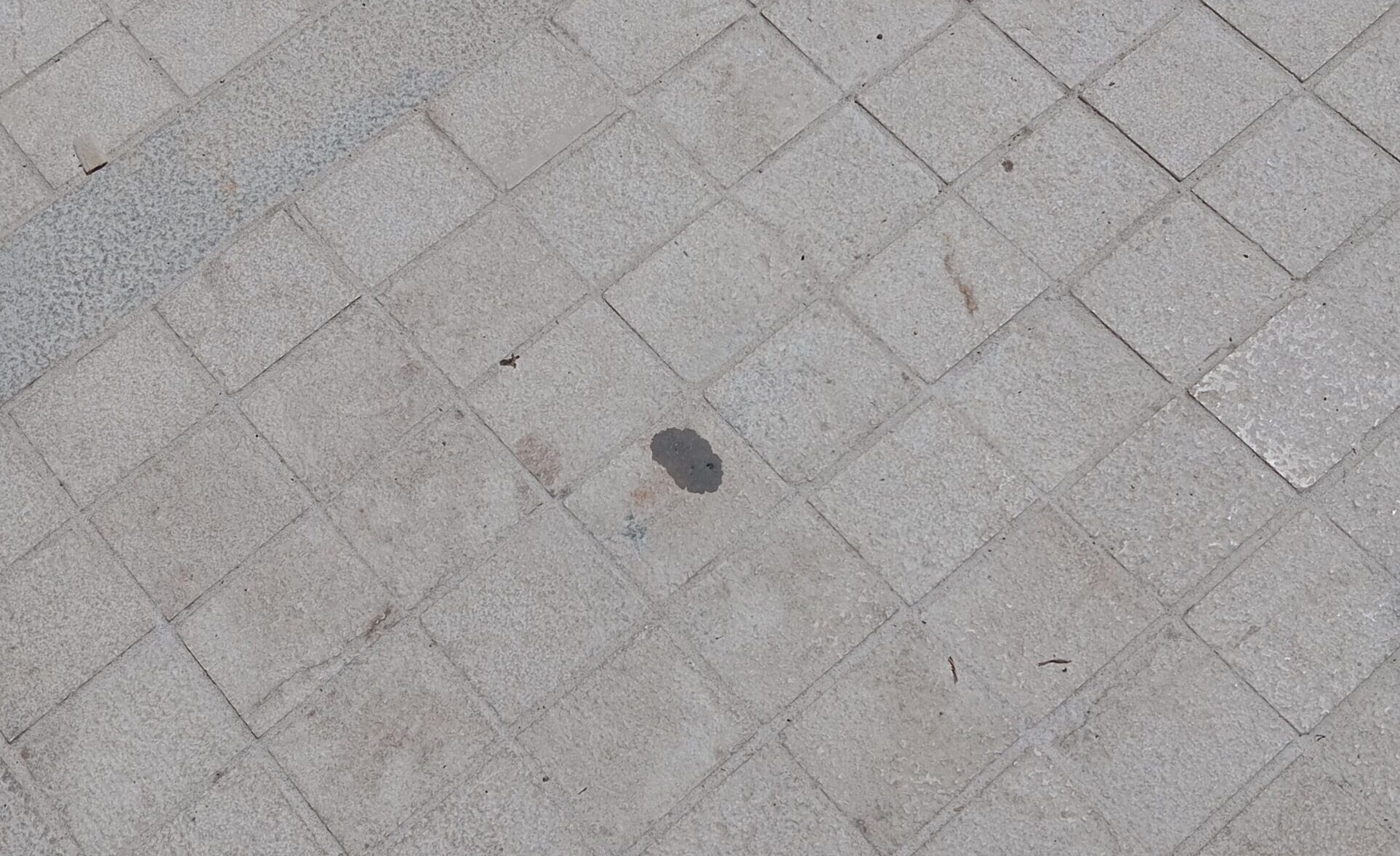 Passeggiando, osservo, ricordo e rifletto