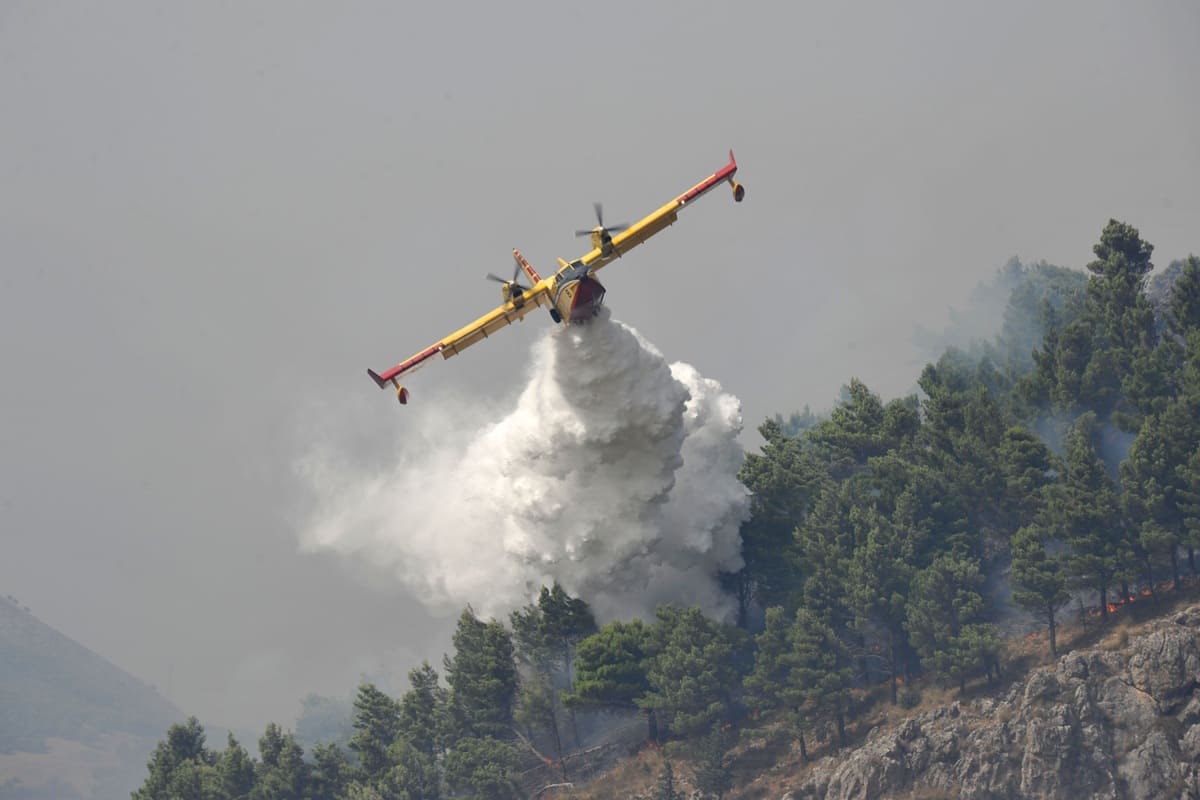 Campagna antincendio della Regione Siciliana, Schifani: “Salvaguardia ambiente priorità assoluta”