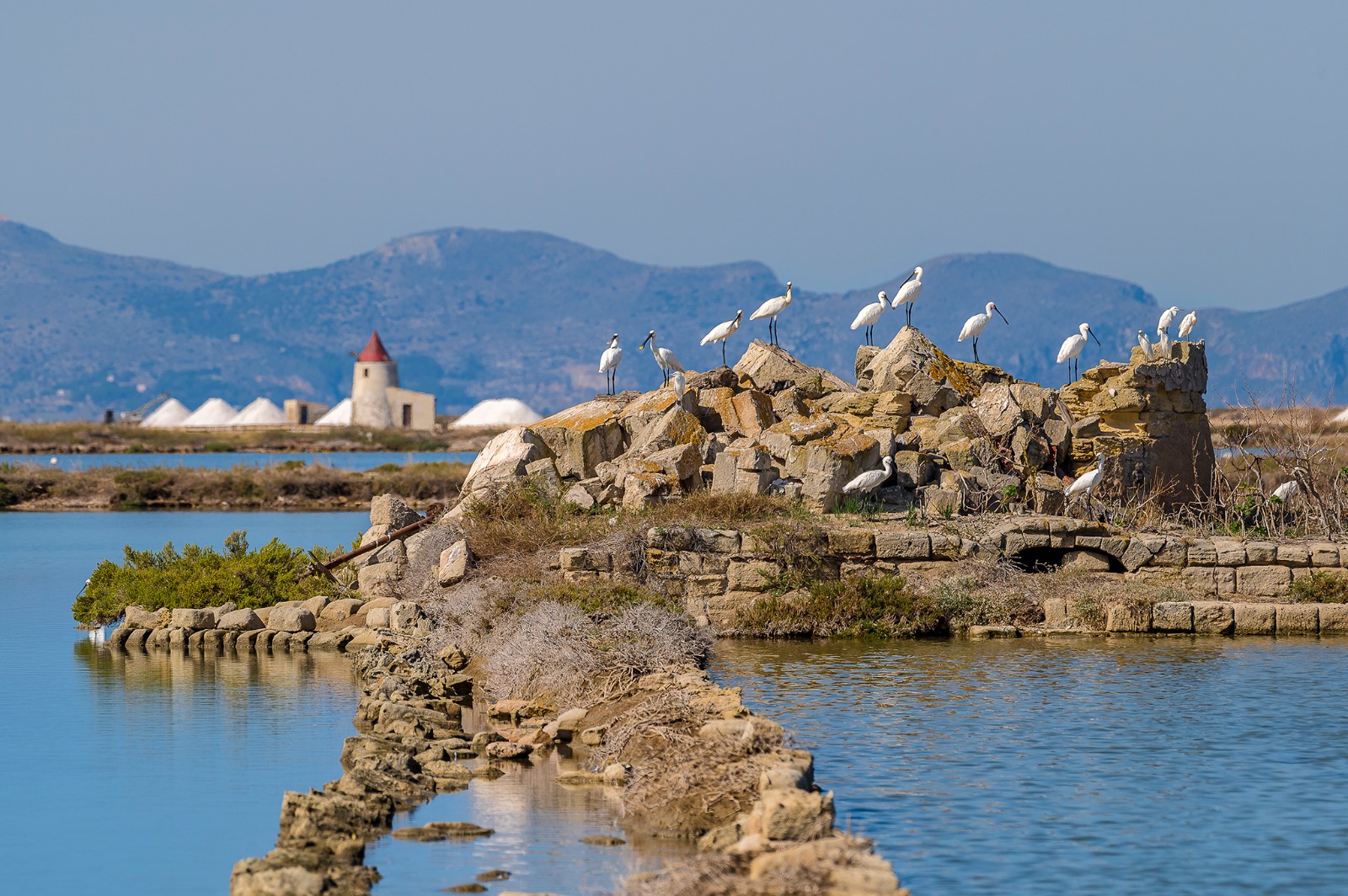 Il futuro è il Parco Nazionale delle Egadi e della costa trapanese: il WWF lancia tutte le proposte