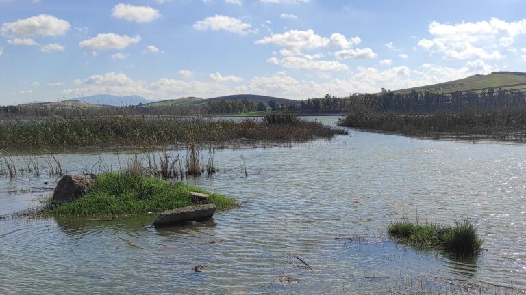A Paceco è Festa per il Parco Baiata dal 25 maggio