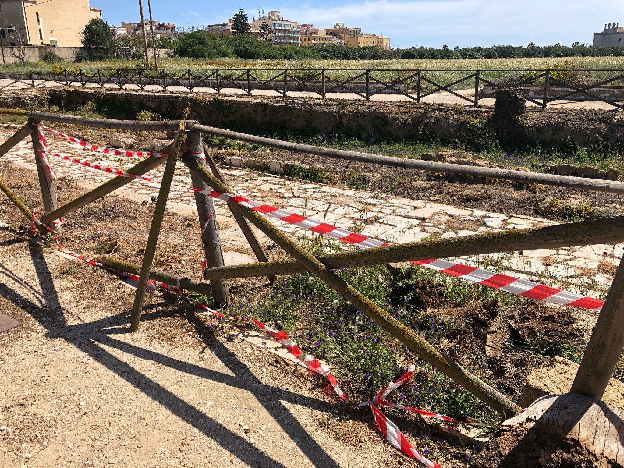 La direttrice del Parco Lilibeo contro tutti: cosa accade nell’area archeologica? ￼