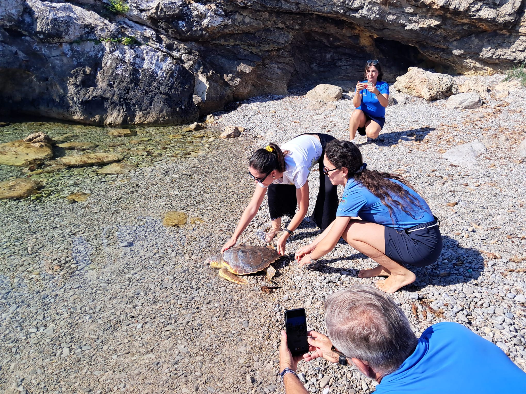 Tempesta torna in mare, era ricoverata al Centro dell’Area Marina delle Egadi. VIDEO
