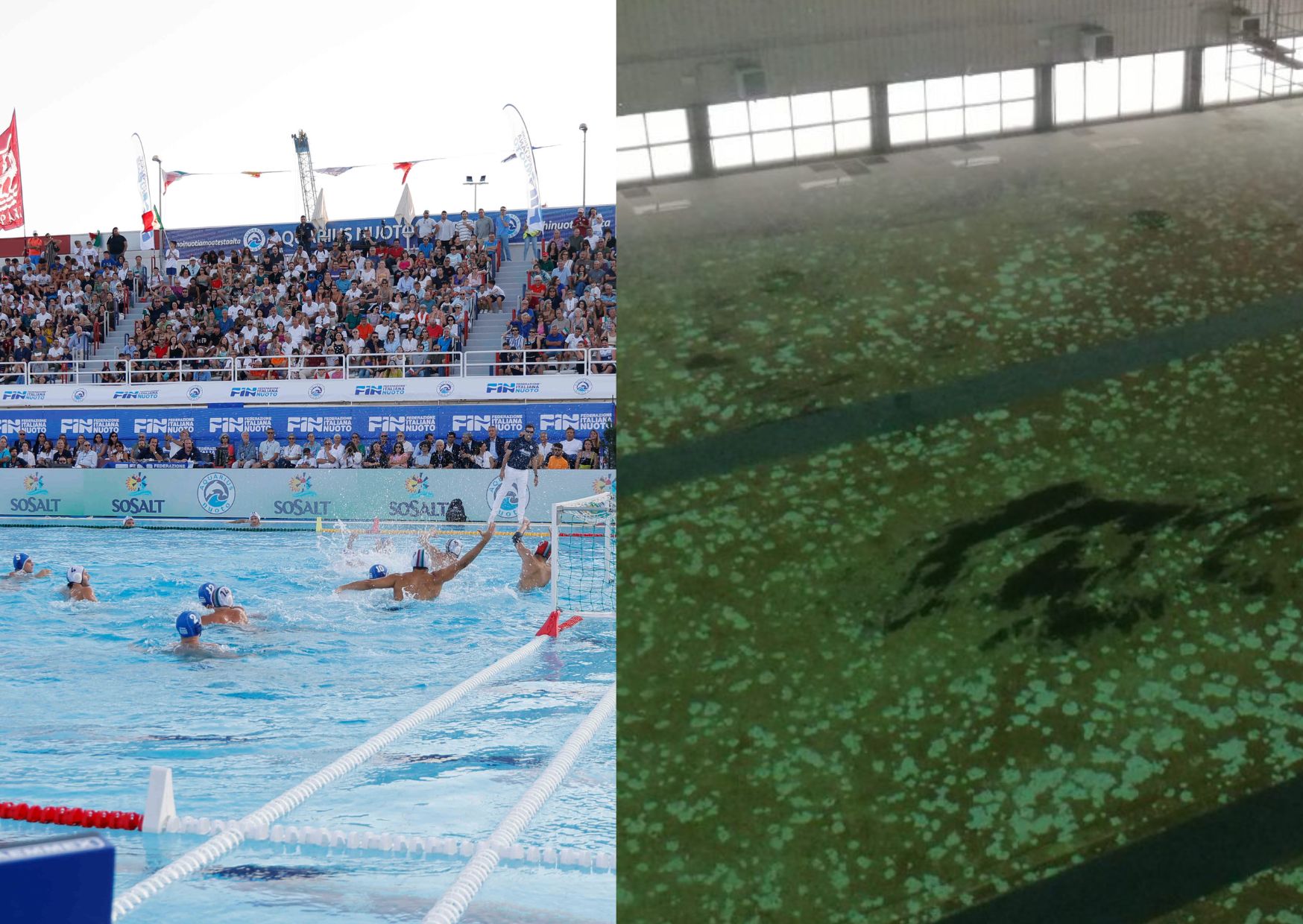 Trova le differenze…