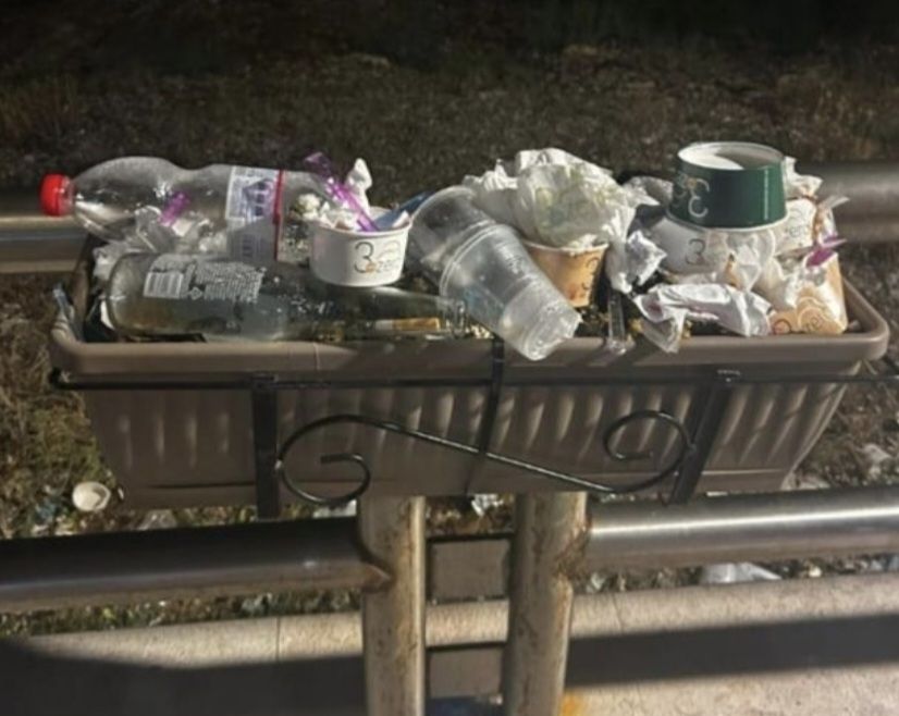 Mazara ferita dall’inciviltà: aiuole distrutte, piante rubate, decoro calpestato