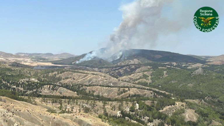 83 incendi in Sicilia in un giorno, brucia anche Tre Fontane