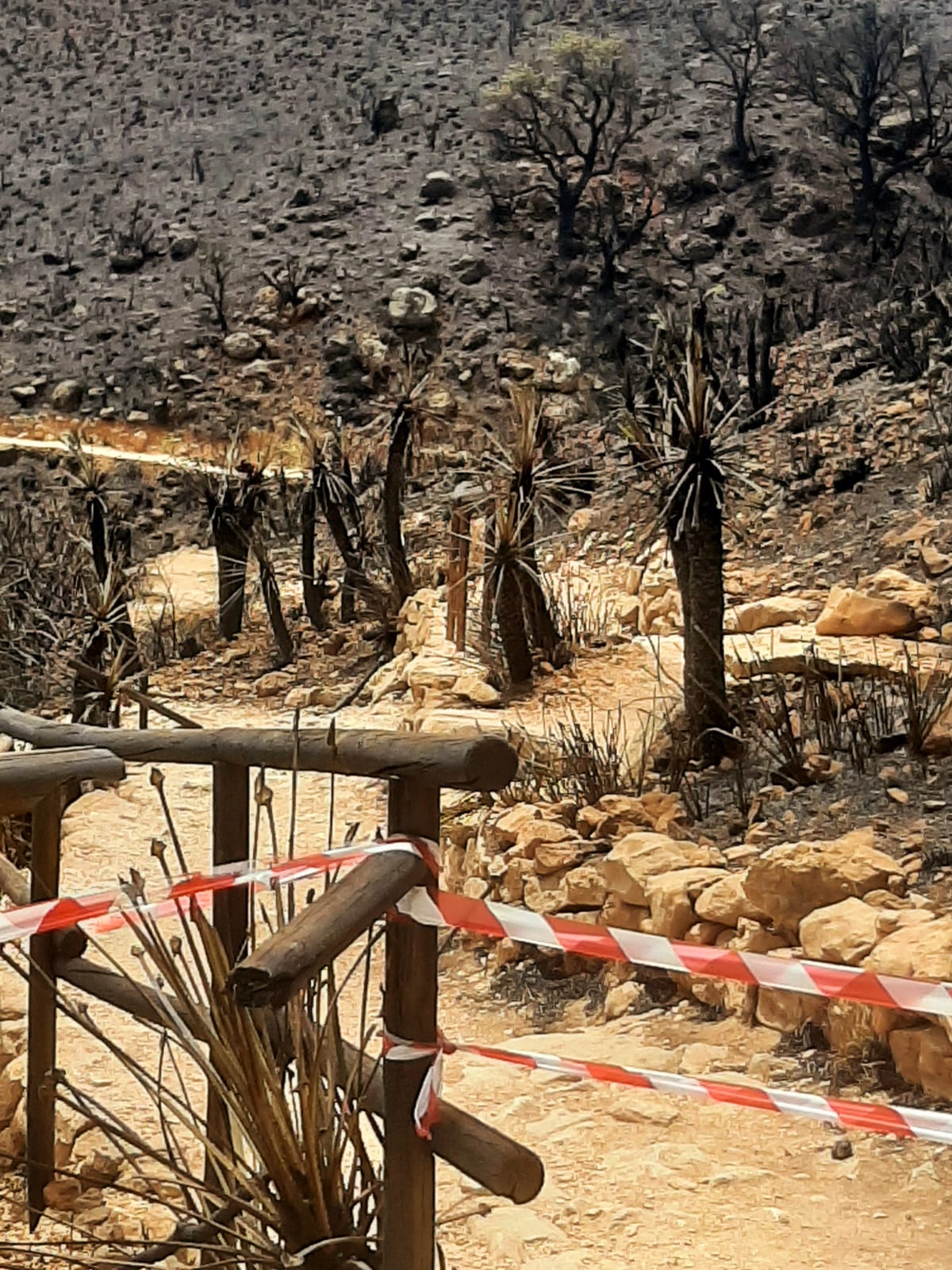 Letizia Pipitone (Legambiente): “Siamo di fronte a un attacco terroristico. Ma la reazione dello Stato non c’è”