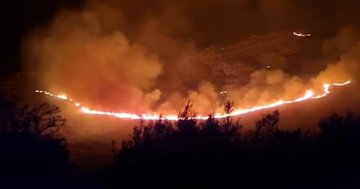 Riserve trapanesi in fumo: “Musumeci venga alla Camera a riferire”