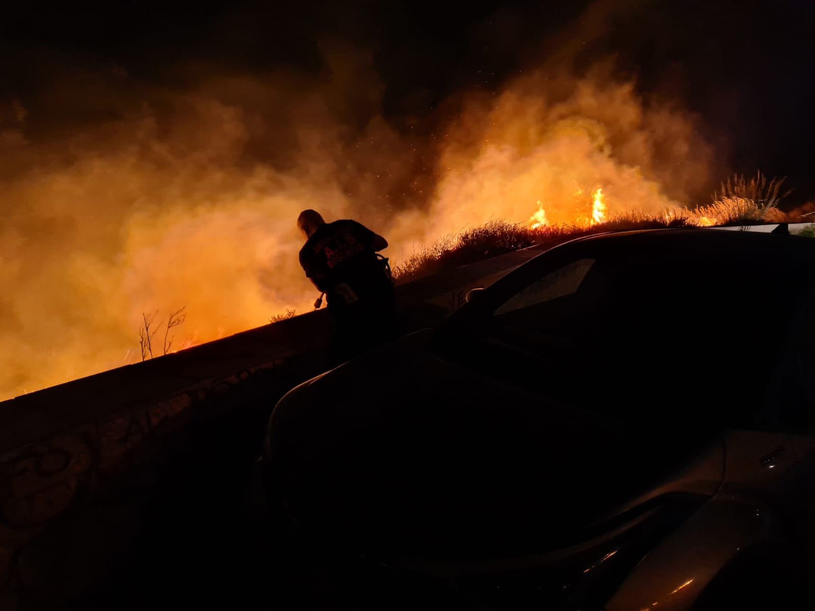 Incendi in Sicilia, da maggio a luglio quasi 4 mila roghi