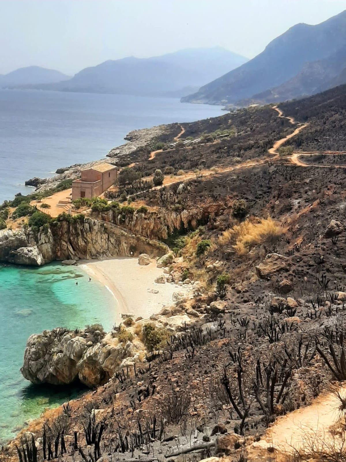 Lo Zingaro devastato dalle fiamme, il direttore della Riserva: “Una ferita per sempre”