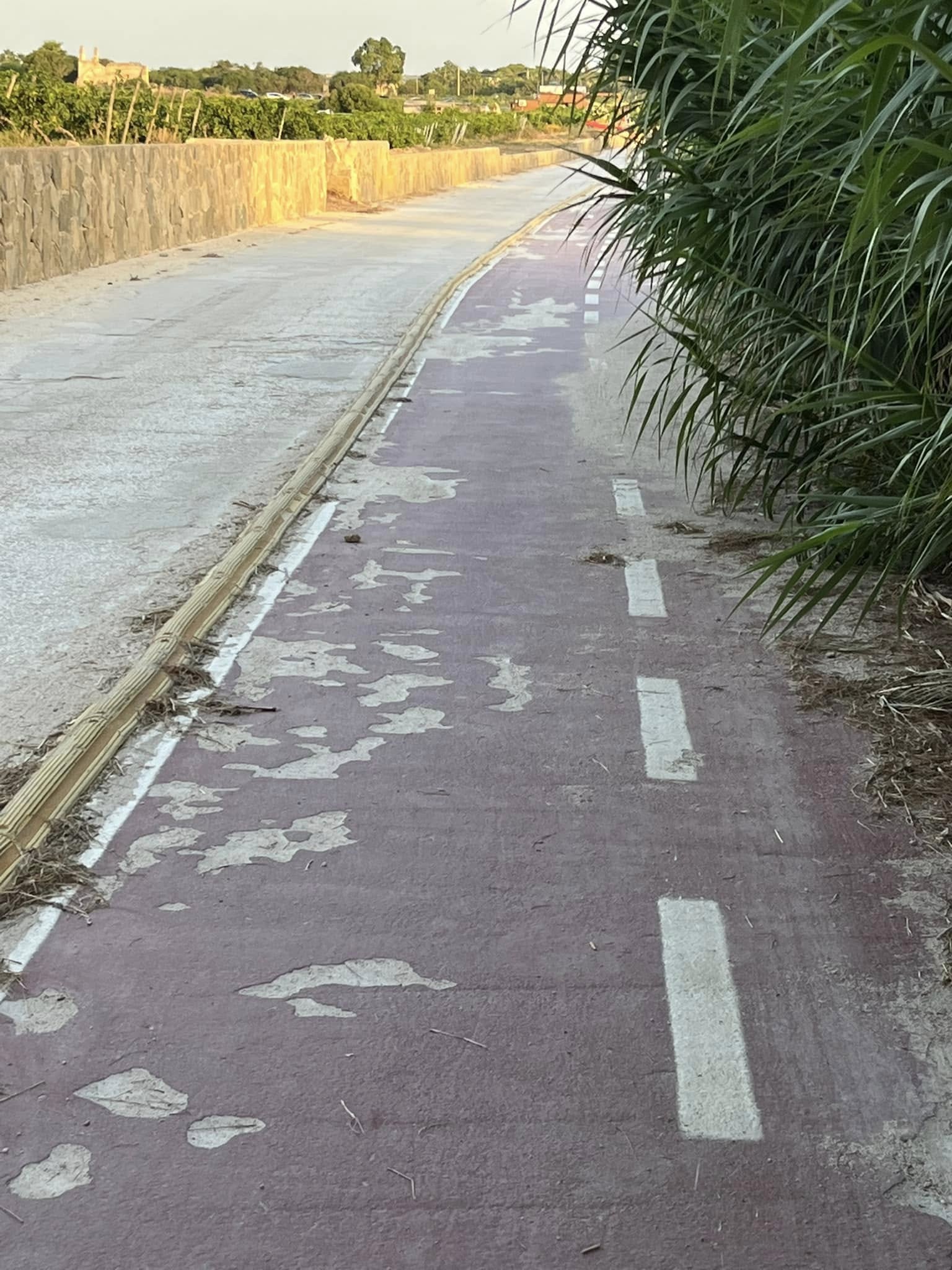 Marsala, la pista ciclabile più bella del mondo è qui: parola di Men’s Health. Ma è così?