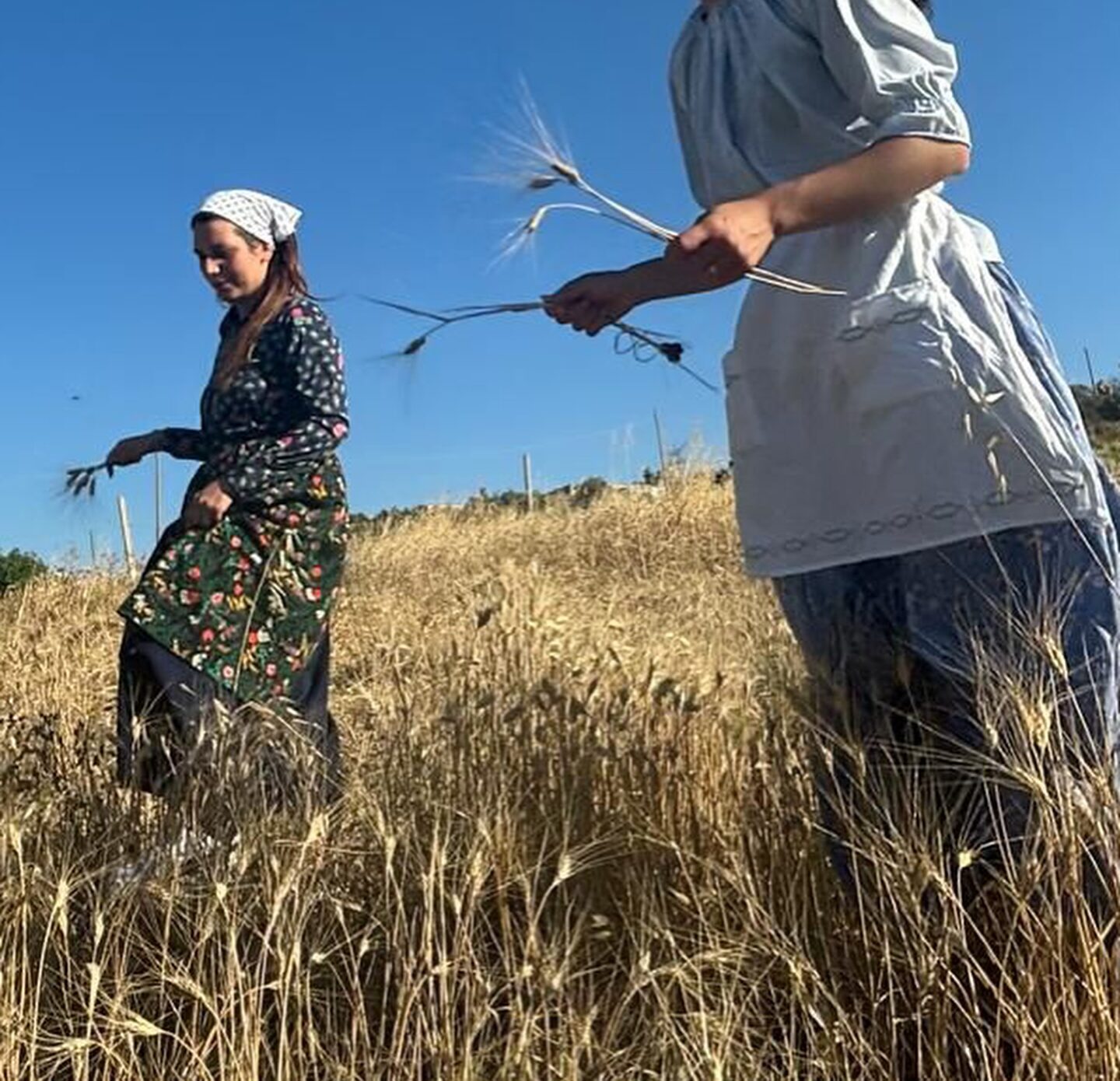 “Naturalmente a Tangi”: conservare le tradizioni rurali di Buseto