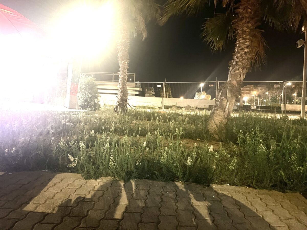 Marsala: erba alta nelle aiuole e sui marciapiedi…