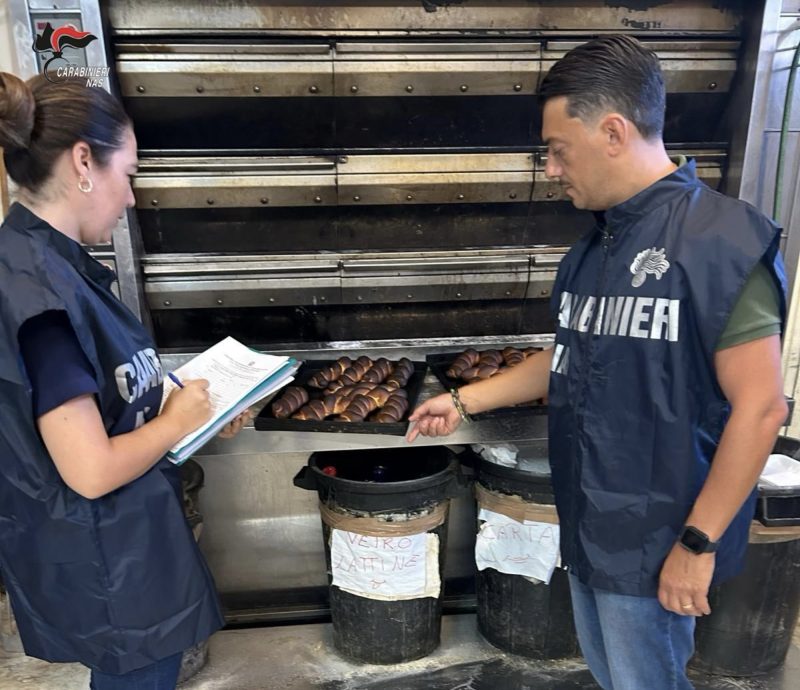 Nas in azione nel trapanese: colonie di blatte in un panificio, in un lido cibi conservati male