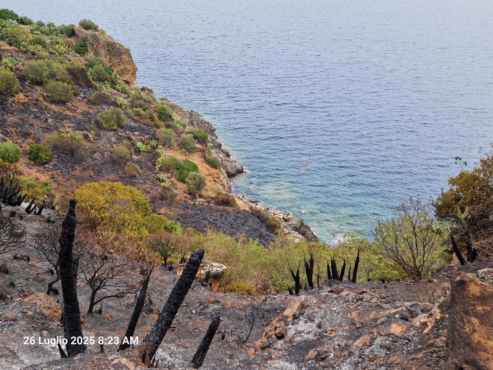La Riserva dello Zingaro riapre dopo l’incendio sabato 14 marzo
