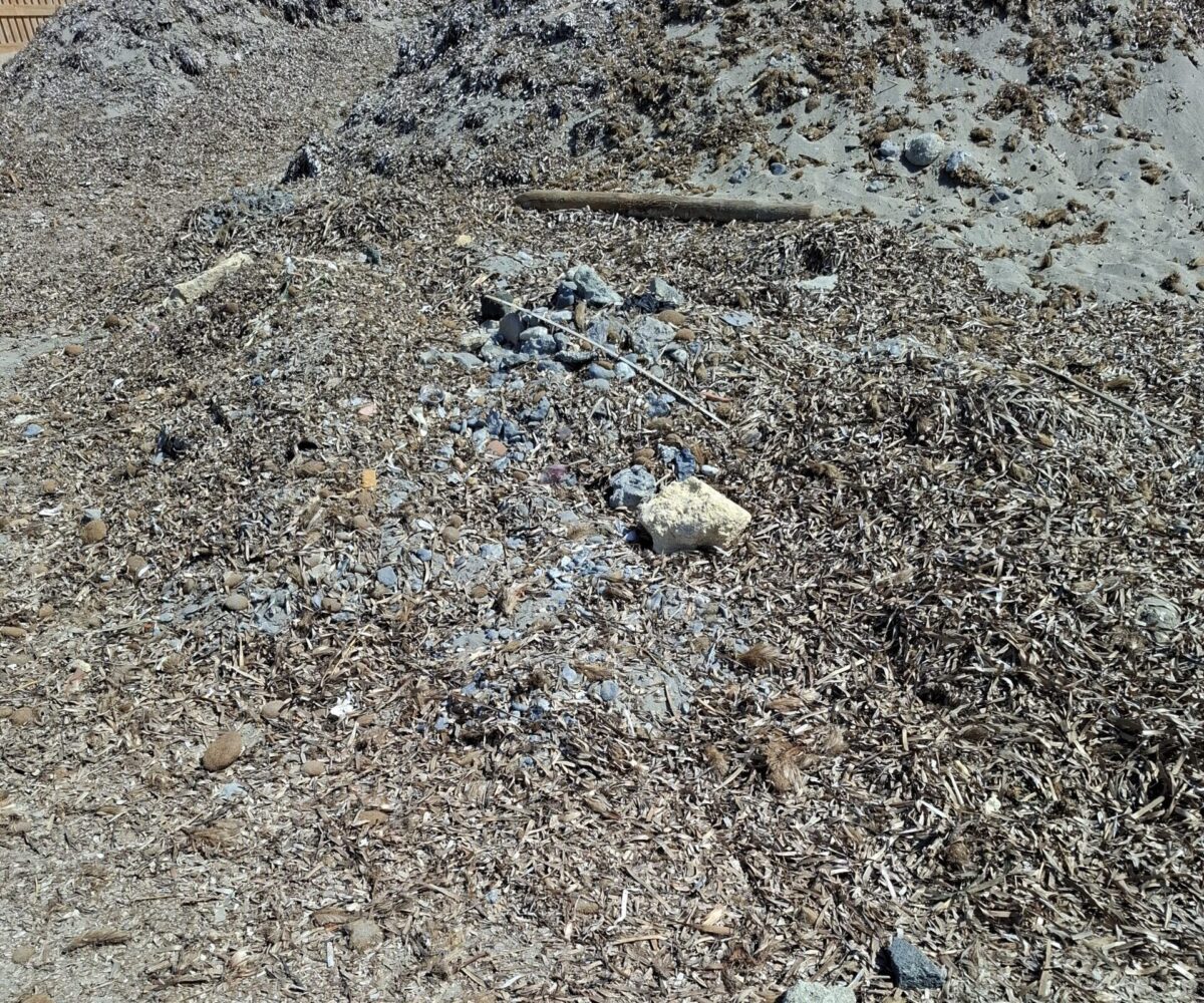 Marsala, il duro sfogo di un turista: “Amo la città, ma la spiaggia libera è uno scempio”