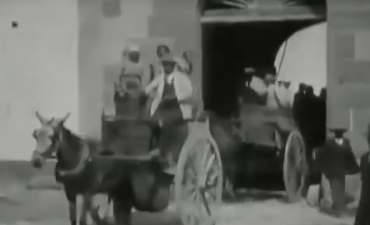 In documento francese del 1929 la vendemmia in un feudo di Mazara del Vallo. VIDEO