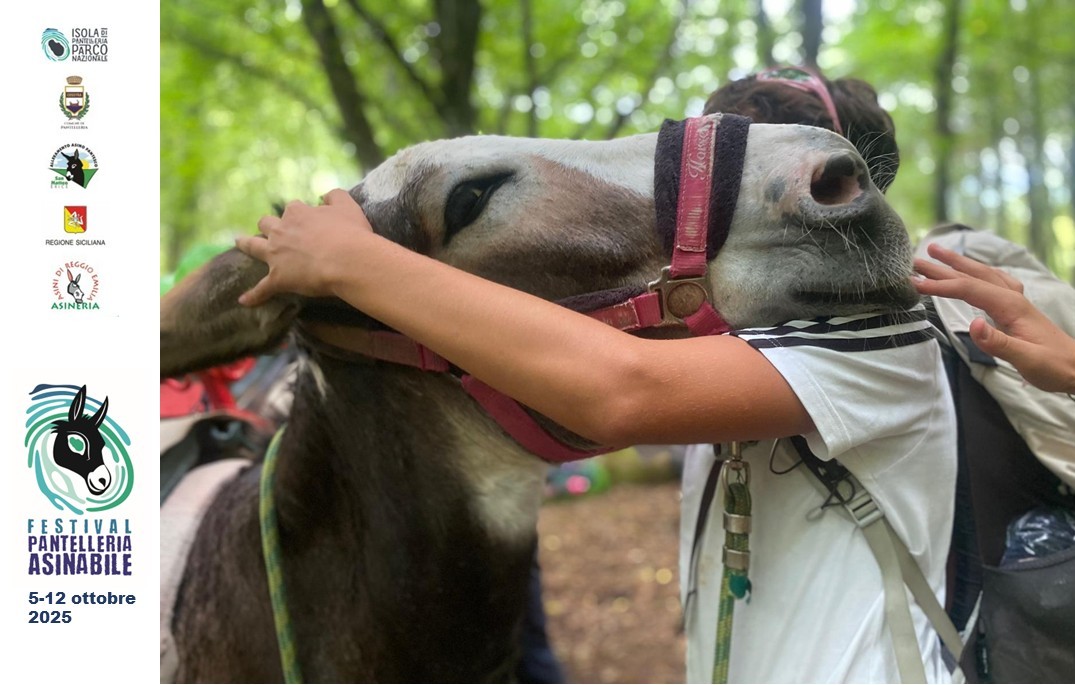  Pantelleria diventa “Isola Asinabile”, un Festival dal 5 al 12 ottobre. VIDEO