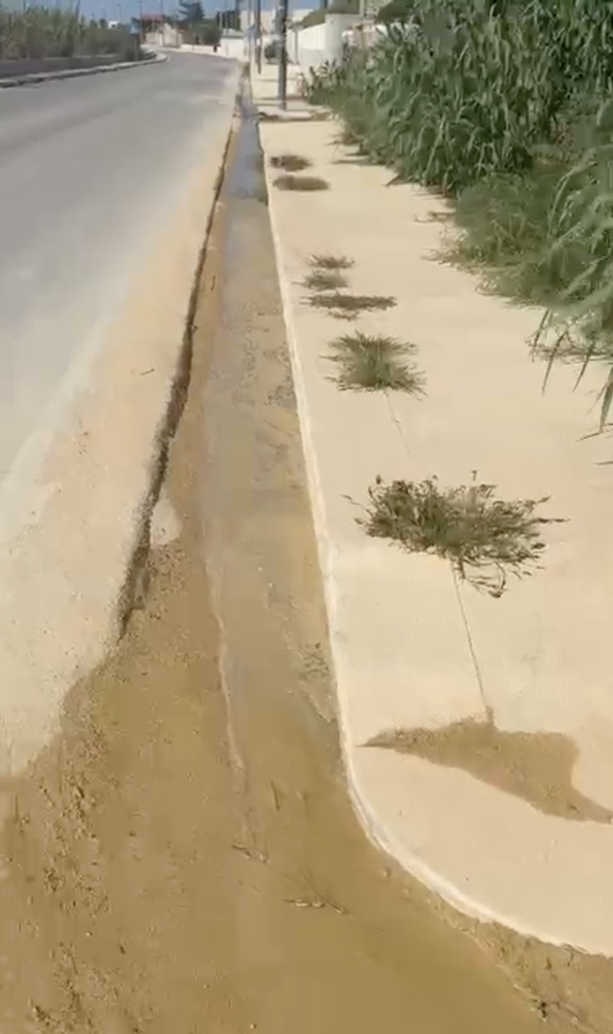 Il Comitato mazarese Bocca Arena-Transinico lancia l’allarme: “Siamo un quartiere emarginato”