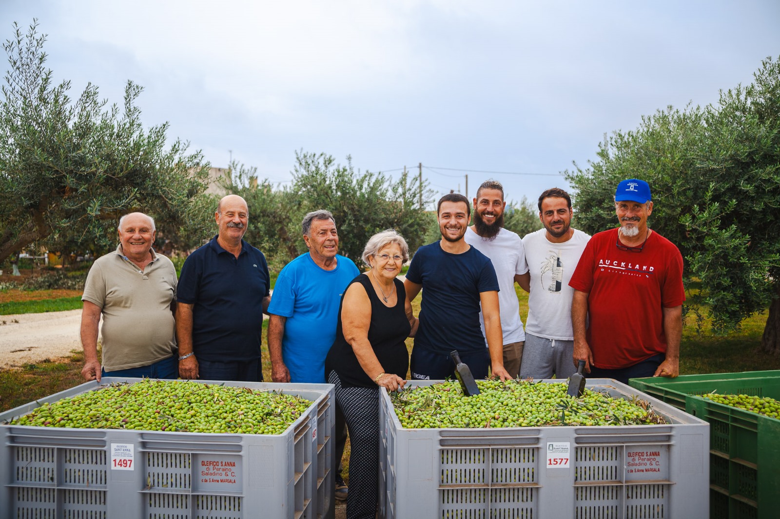 Qualità e velocità: l’Oleificio Sant’Anna supporta produttori con attrezzature moderne e servizi dedicati