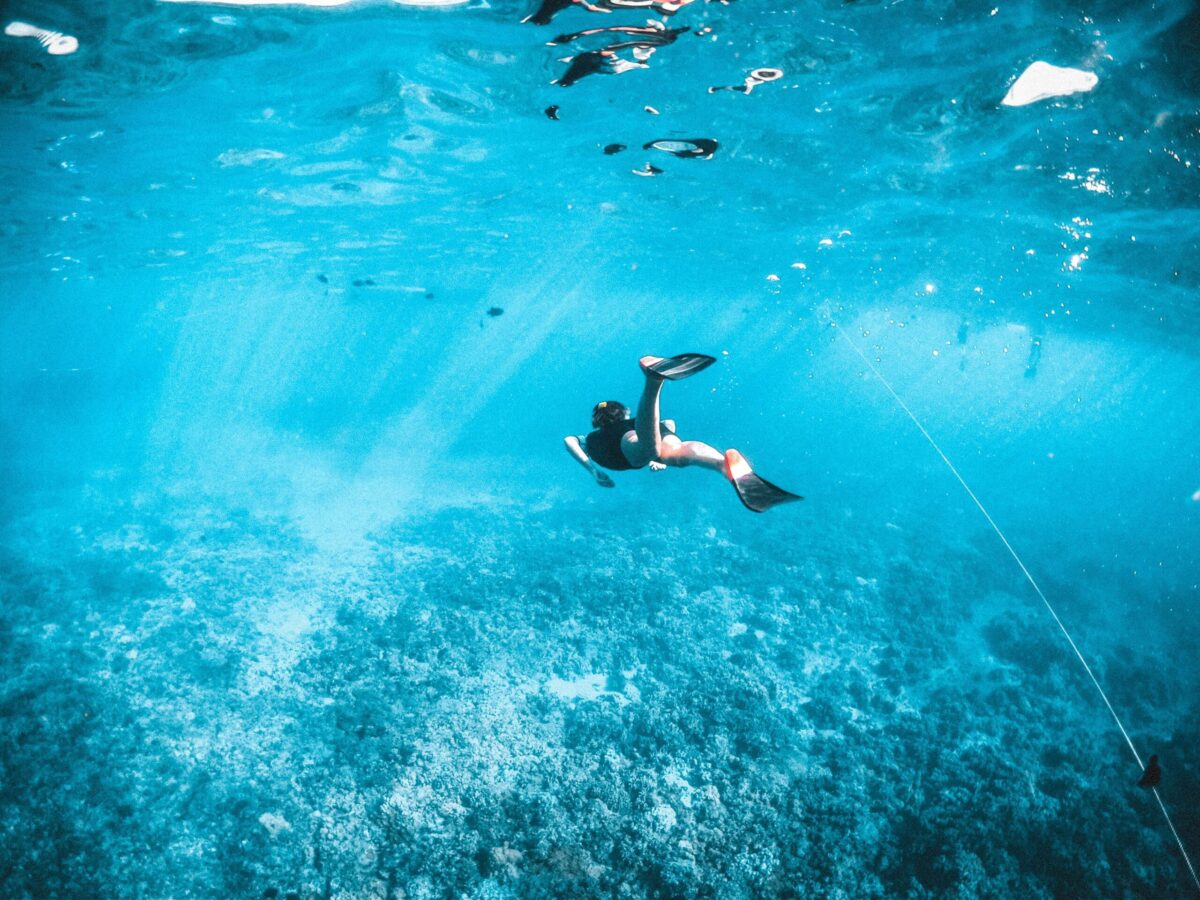 Nuova vittoria al TAR: sì ad attività subacquee e snorkeling nelle Egadi