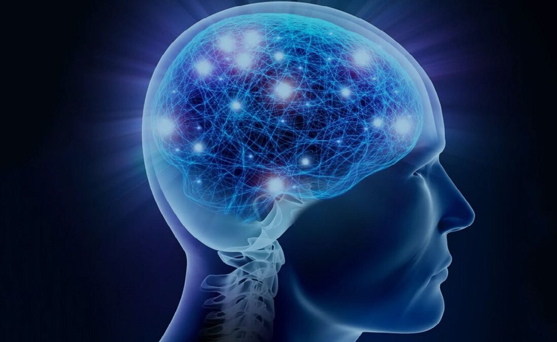 Un corso sull’Alzheimer all’Ettore Majorana di Erice