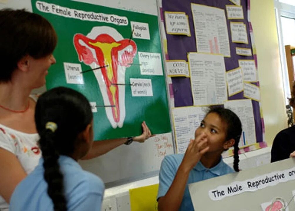 ProLife contro M5S: “No all’educazione sessuale a scuola, difendiamo il ruolo dei genitori”