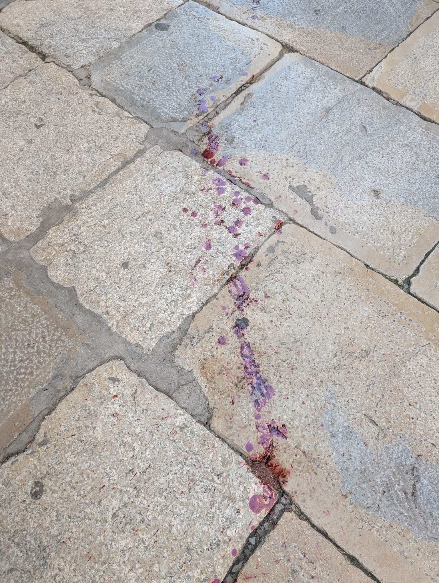 Marsala, la scia di sangue in centro? Un pugno sul vetro di un portone