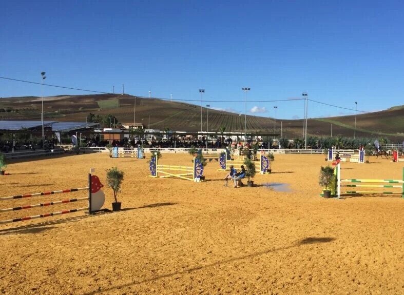 L’ippica ad ostacoli, a Buseto ultima tappa del Gran Premio Regionali Under 21