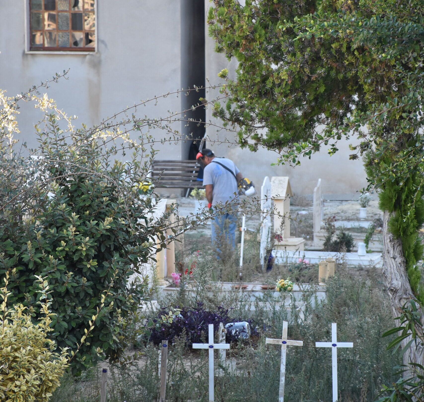 Cimitero di Marsala: al via gli interventi di manutenzione del verde ￼