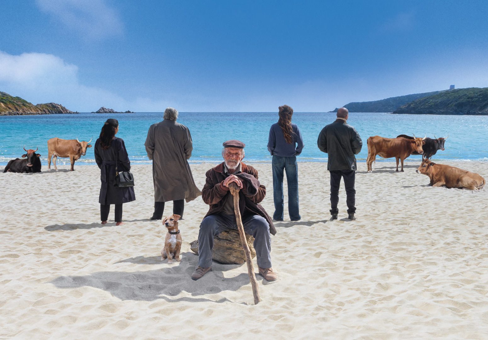 Cinema: tutte le programmazioni nelle sale marsalesi