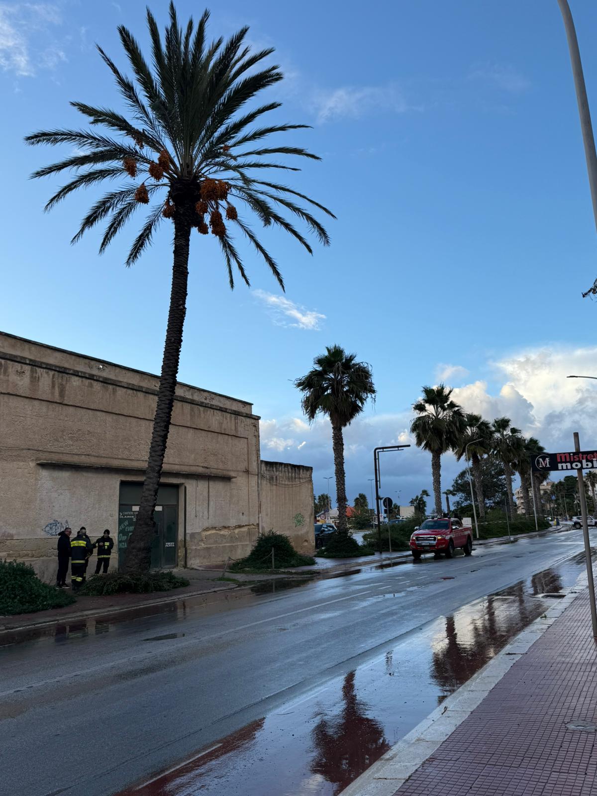 Marsala una grossa palma rischia di cadere. Chiuso al traffico veicolare il Lungomare