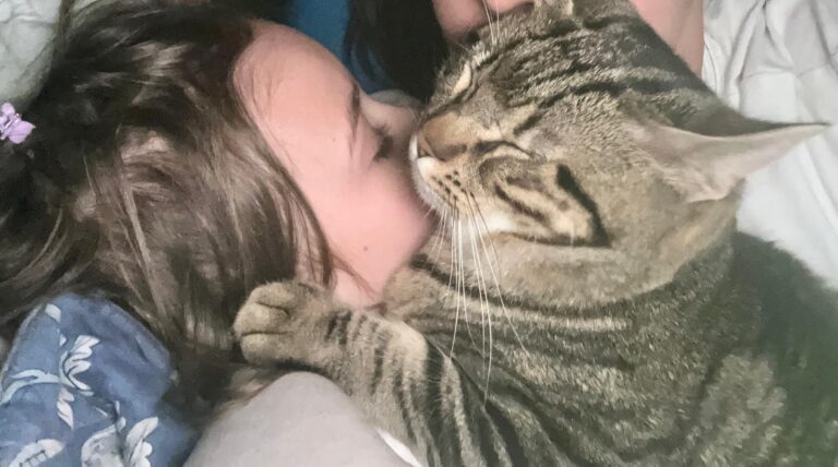 MammAvventura bis: Anno Zero